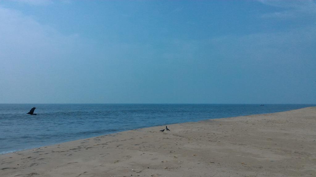 Marari Secret Beach Yoga Homestay 마라리쿨람 외부 사진